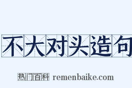 不大对头造句是什么意思的图片